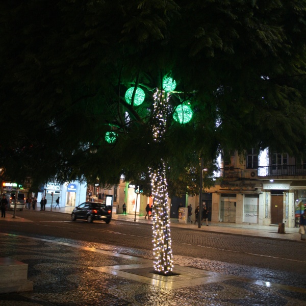 Tronco de árvores iluminado com string led e bolas de polipropileno iluminadas, aplicadas em copas de árvores